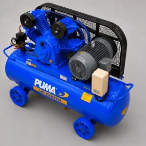 ảnh đại diện Máy nén khí Piston Puma PX15300
