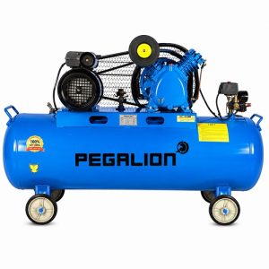 Máy nén khí Pegalion TM-V-0.25/12.5-120L