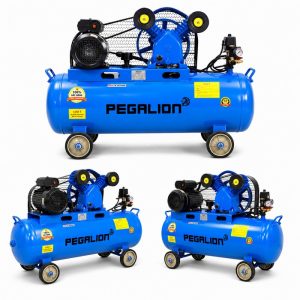 Máy nén khí Pegalion TM-V-0.25/8-120L