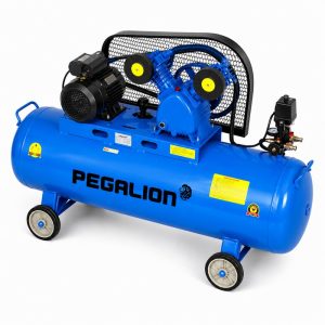 Máy nén khí dây đai Pegalion TM-V-0.25/8-180L