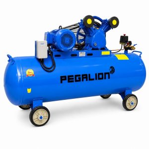 Máy nén khí dây đai Pegalion TM-V-0.6/8-180L