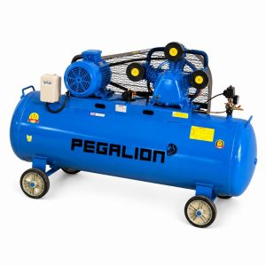 Máy nén khí dây đai Pegalion TM-W-0.36/12.5-180L