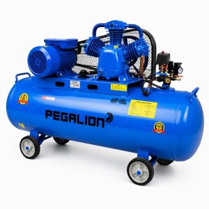 Máy nén khí Pegalion TM-W-0.36/12.5 - 180L(220V)