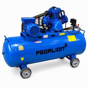 Máy nén khí Pegalion TM-W-0.36/8 - 330L(220V)