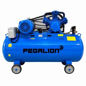 Máy nén khí dây đai Pegalion TM-W-0.67/8-500L