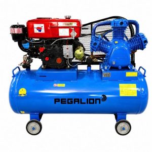 Máy nén khí Diesel Pegalion TM-W-1.0/8 - 180L