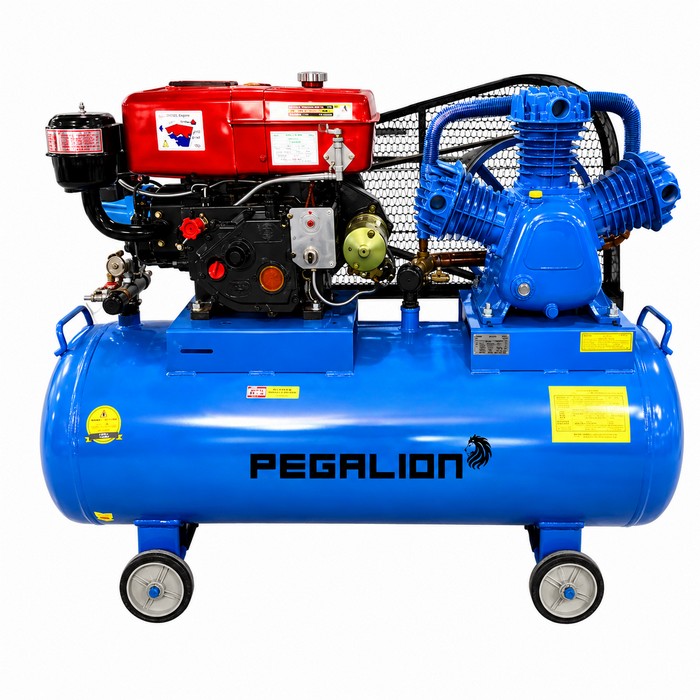 Máy nén khí Diesel Pegalion TM-W-0.67/8 - 330L