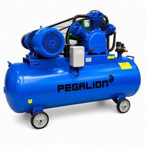 Máy nén khí Pegalion TM-V-1.6/8 - 330L