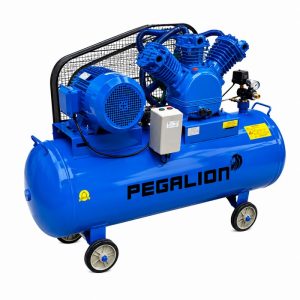 Máy nén khí Pegalion TM-W-1.6/8 - 500L