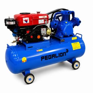 Máy nén khí Pegalion TM-W-1.0/8-500L