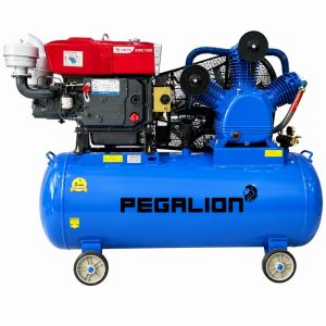 Máy nén khí Pegalion TM- W-1.6/12.5 - 330L