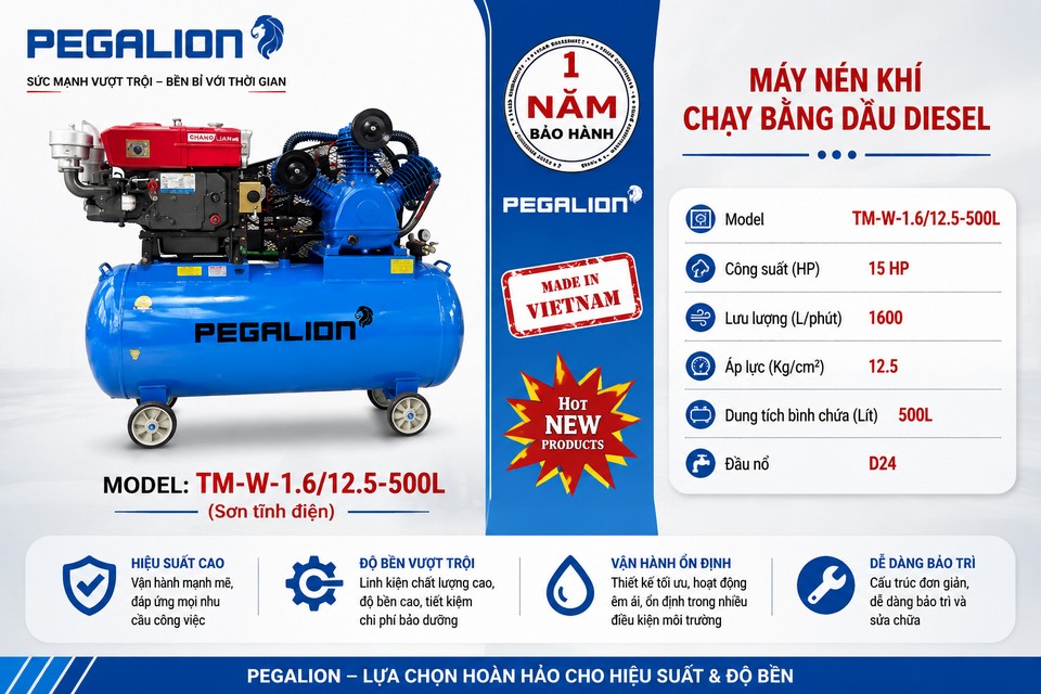 Máy nén khí Pegalion TM- W-1.6/12.5- 500L