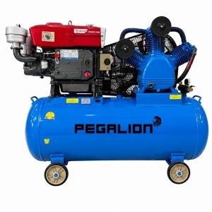Máy nén khí Pegalion TM- W-1.6/12.5- 500L