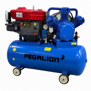 Máy nén khí Pegalion TM- W-1.6/8 - 330L