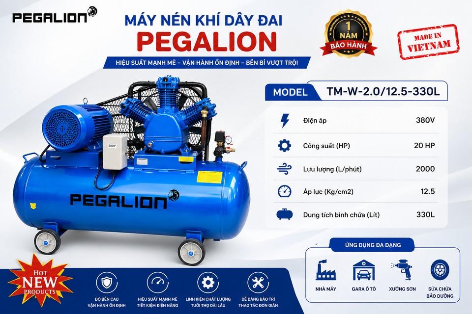 Máy nén khí Pegalion TM-W-2.0/12.5 - 330L