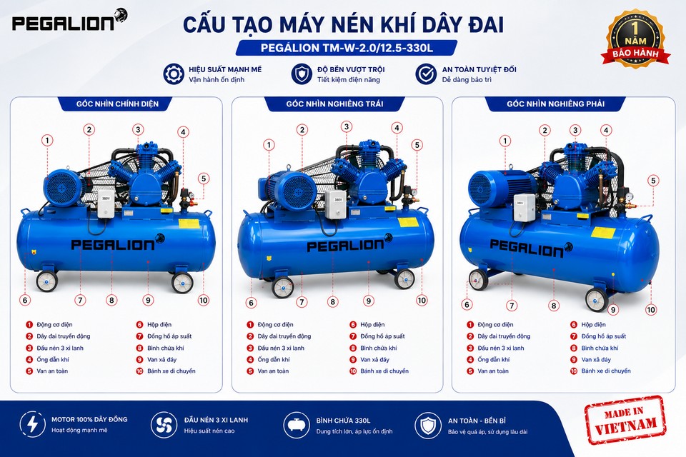 Máy nén khí Pegalion TM-W-2.0/12.5 - 330L