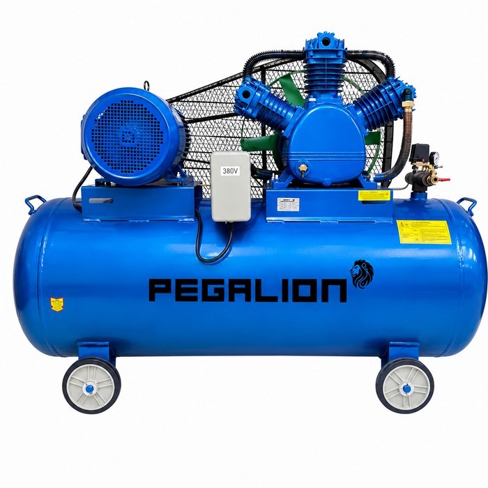 Máy nén khí Pegalion TM-W-2.0/12.5 - 330L