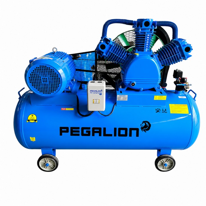 Máy nén khí Pegalion TM-W-2.0/8 - 330L
