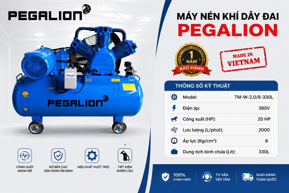 Máy nén khí Pegalion TM-W-2.0/8 - 330L