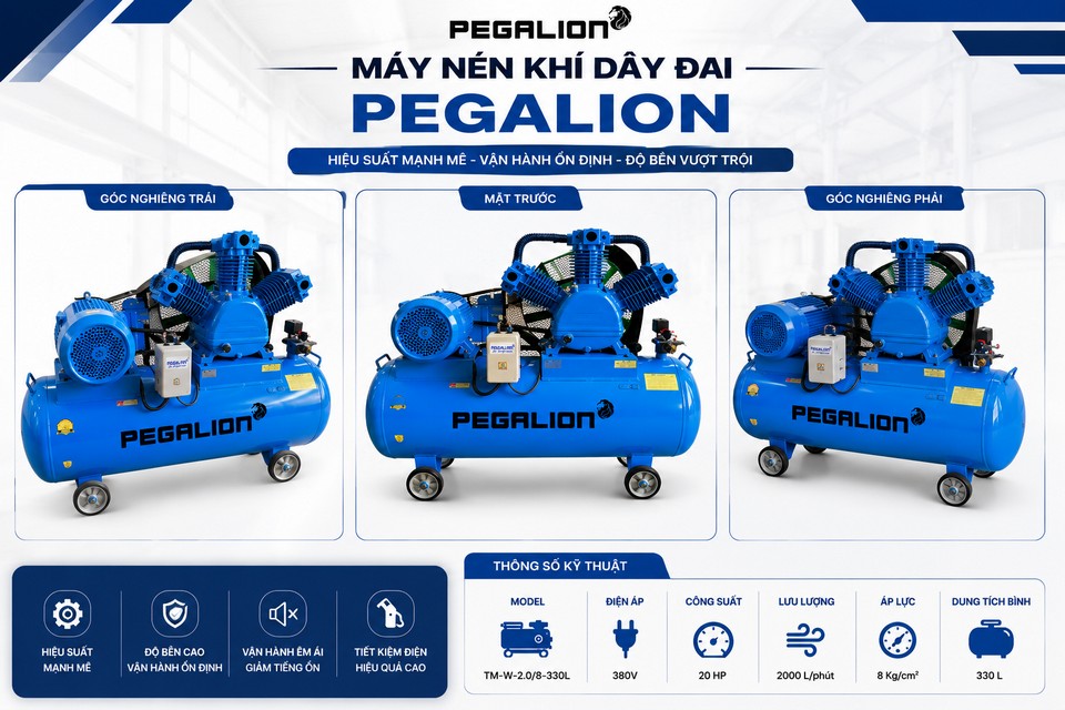 Máy nén khí Pegalion TM-W-2.0/8 - 330L